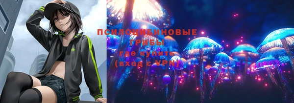 герыч Ельня