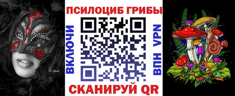 наркотики  Камень-на-Оби  мега сайт  Галлюциногенные грибы Psilocybine cubensis 