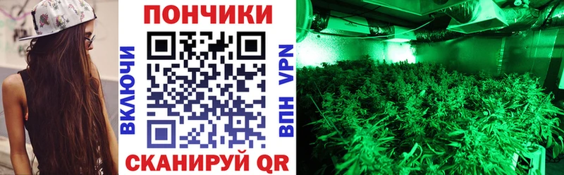 Каннабис план  MEGA рабочий сайт  Камень-на-Оби 